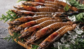 生食もできる久米島ブランド 活〆急速冷凍車海老 500g(30~34尾×2セット)